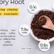 Why Chicory Coffee Syrup is a Must-Have for Coffee Lover | The Ultimate Coffee Guide: Types, Brewing Methods & Best Beans