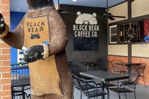 Your Guide to Black Bear Coffee Shop & More Brews Safem Fabrication - Precision Engineering & Custom Manufacturing Solutions Your Guide to Black Bear Coffee Shop & More Brews | Safem Fabrication - Precision Engineering & Custom Manufacturing Solutions