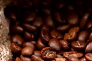 Brewing Blues? Can Normal Coffee Be Made in an Espresso Machine? Guide Safem Fabrication - Precision Engineering & Custom Manufacturing Solutions Brewing Blues? Can Normal Coffee Be Made in an Espresso Machine? Guide | Safem Fabrication - Precision Engineering & Custom Manufacturing Solutions