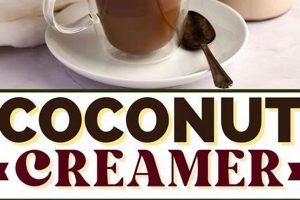 Dairy-Free Coconut Coffee Cream: Rich & Creamy! Safem Fabrication - Precision Engineering & Custom Manufacturing Solutions Dairy-Free Coconut Coffee Cream: Rich & Creamy! | Safem Fabrication - Precision Engineering & Custom Manufacturing Solutions