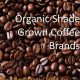 Best Shade Grown Coffee Brands: A Guide | The Ultimate Coffee Guide: Types, Brewing Methods & Best Beans