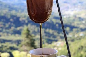 Best Costa Rican Coffee Maker: Brew the Perfect Cup! Safem Fabrication - Precision Engineering & Custom Manufacturing Solutions Best Costa Rican Coffee Maker: Brew the Perfect Cup! | Safem Fabrication - Precision Engineering & Custom Manufacturing Solutions