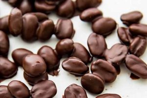 Dark Indulgence: Best Chocolate Coffee Beans Today! Safem Fabrication - Precision Engineering & Custom Manufacturing Solutions Dark Indulgence: Best Chocolate Coffee Beans Today! | Safem Fabrication - Precision Engineering & Custom Manufacturing Solutions