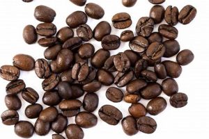 Best African Coffee Beans: Aromatic, Ethically Sourced Safem Fabrication - Precision Engineering & Custom Manufacturing Solutions Best African Coffee Beans: Aromatic, Ethically Sourced | Safem Fabrication - Precision Engineering & Custom Manufacturing Solutions