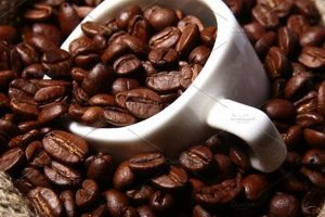 Brew Better: Fresh Bean Coffee, Unmatched Taste Safem Fabrication - Precision Engineering & Custom Manufacturing Solutions Brew Better: Fresh Bean Coffee, Unmatched Taste | Safem Fabrication - Precision Engineering & Custom Manufacturing Solutions