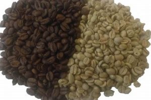 Buy Fresh Direct Trade Green Coffee Beans Online + Guide Safem Fabrication - Precision Engineering & Custom Manufacturing Solutions Buy Fresh Direct Trade Green Coffee Beans Online + Guide | Safem Fabrication - Precision Engineering & Custom Manufacturing Solutions