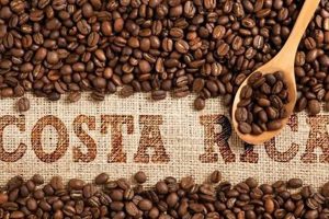 Discover: Costa Rica Beans Coffee - Rich Aroma! Safem Fabrication - Precision Engineering & Custom Manufacturing Solutions Discover: Costa Rica Beans Coffee - Rich Aroma! | Safem Fabrication - Precision Engineering & Custom Manufacturing Solutions