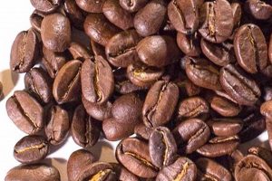Buy Papua New Guinea Coffee Beans | Fresh & Flavorful Safem Fabrication - Precision Engineering & Custom Manufacturing Solutions Buy Papua New Guinea Coffee Beans | Fresh & Flavorful | Safem Fabrication - Precision Engineering & Custom Manufacturing Solutions