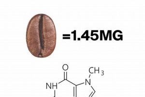 Caffeine Kick: How Much Caffeine In One Coffee Bean? Brew Facts Safem Fabrication - Precision Engineering & Custom Manufacturing Solutions Caffeine Kick: How Much Caffeine In One Coffee Bean? Brew Facts | Safem Fabrication - Precision Engineering & Custom Manufacturing Solutions