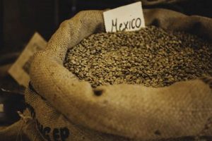 Best Mexican Coffee Beans: Origin & Flavor Guide Safem Fabrication - Precision Engineering & Custom Manufacturing Solutions Best Mexican Coffee Beans: Origin & Flavor Guide | Safem Fabrication - Precision Engineering & Custom Manufacturing Solutions