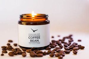 Shop Coffee Bean Candles - Aromatic Home Scents Safem Fabrication - Precision Engineering & Custom Manufacturing Solutions Shop Coffee Bean Candles - Aromatic Home Scents | Safem Fabrication - Precision Engineering & Custom Manufacturing Solutions