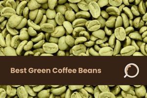 Discover the Best Green Coffee Beans: Your Perfect Cup! Safem Fabrication - Precision Engineering & Custom Manufacturing Solutions Discover the Best Green Coffee Beans: Your Perfect Cup! | Safem Fabrication - Precision Engineering & Custom Manufacturing Solutions