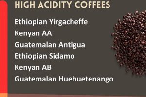 Reduce Cold Brew Coffee Acidity: Brewing Guide Tips Safem Fabrication - Precision Engineering & Custom Manufacturing Solutions Reduce Cold Brew Coffee Acidity: Brewing Guide Tips | Safem Fabrication - Precision Engineering & Custom Manufacturing Solutions