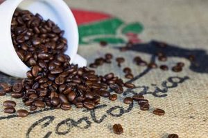 Premium Costa Rican Coffee Beans: Flavor & Origin Guide Safem Fabrication - Precision Engineering & Custom Manufacturing Solutions Premium Costa Rican Coffee Beans: Flavor & Origin Guide | Safem Fabrication - Precision Engineering & Custom Manufacturing Solutions