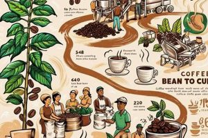 Unveiling Coffee Market Dynamics from Bean to Cup: Trends & Insights Safem Fabrication - Precision Engineering & Custom Manufacturing Solutions Unveiling Coffee Market Dynamics from Bean to Cup: Trends & Insights | Safem Fabrication - Precision Engineering & Custom Manufacturing Solutions