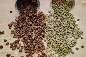 Raw Coffee: Beans Before Roasting Secrets Revealed! Safem Fabrication - Precision Engineering & Custom Manufacturing Solutions Raw Coffee: Beans Before Roasting Secrets Revealed! | Safem Fabrication - Precision Engineering & Custom Manufacturing Solutions