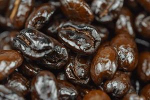 Why Are Oily Coffee Beans Bad? Myths & Facts Safem Fabrication - Precision Engineering & Custom Manufacturing Solutions Why Are Oily Coffee Beans Bad? Myths & Facts | Safem Fabrication - Precision Engineering & Custom Manufacturing Solutions