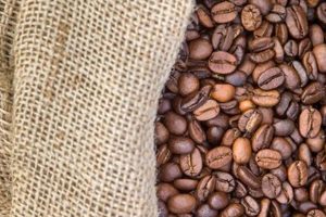 Buy Wholesale Bulk Coffee Beans 50 lbs - Fresh! Safem Fabrication - Precision Engineering & Custom Manufacturing Solutions Buy Wholesale Bulk Coffee Beans 50 lbs - Fresh! | Safem Fabrication - Precision Engineering & Custom Manufacturing Solutions