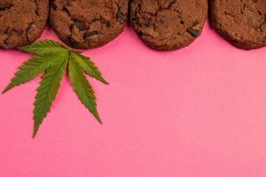 Buy Coffee Bean Edible THC Online - Benefits & Uses Safem Fabrication - Precision Engineering & Custom Manufacturing Solutions Buy Coffee Bean Edible THC Online - Benefits & Uses | Safem Fabrication - Precision Engineering & Custom Manufacturing Solutions