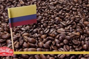 Best Colombia Coffee Beans: Aroma & Flavor Guide Safem Fabrication - Precision Engineering & Custom Manufacturing Solutions Best Colombia Coffee Beans: Aroma & Flavor Guide | Safem Fabrication - Precision Engineering & Custom Manufacturing Solutions