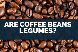 Botanically Speaking: Are Coffee Beans Legumes, Really? Safem Fabrication - Precision Engineering & Custom Manufacturing Solutions Botanically Speaking: Are Coffee Beans Legumes, Really? | Safem Fabrication - Precision Engineering & Custom Manufacturing Solutions