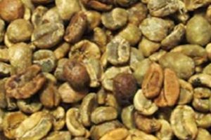 Best Indonesian Coffee Beans: Taste Java & Sumatra Safem Fabrication - Precision Engineering & Custom Manufacturing Solutions Best Indonesian Coffee Beans: Taste Java & Sumatra | Safem Fabrication - Precision Engineering & Custom Manufacturing Solutions