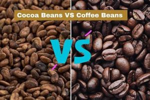 Cocoa vs Coffee Beans: Roast Showdown! Safem Fabrication - Precision Engineering & Custom Manufacturing Solutions Cocoa vs Coffee Beans: Roast Showdown! | Safem Fabrication - Precision Engineering & Custom Manufacturing Solutions