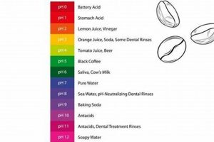 Understanding Cold Brew Coffee Acidity: Taste the Difference Safem Fabrication - Precision Engineering & Custom Manufacturing Solutions Understanding Cold Brew Coffee Acidity: Taste the Difference | Safem Fabrication - Precision Engineering & Custom Manufacturing Solutions