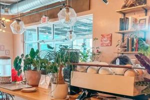 Best Coffee Shops In Traverse City: Your Local Guide Safem Fabrication - Precision Engineering & Custom Manufacturing Solutions Best Coffee Shops In Traverse City: Your Local Guide | Safem Fabrication - Precision Engineering & Custom Manufacturing Solutions