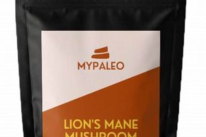 Boost Your Brain: Mane Coffee Benefits + Guide Safem Fabrication - Precision Engineering & Custom Manufacturing Solutions Boost Your Brain: Mane Coffee Benefits + Guide | Safem Fabrication - Precision Engineering & Custom Manufacturing Solutions