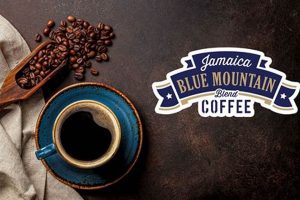 Discover: Blue Mountain Jamaican Coffee Beans & Aroma Safem Fabrication - Precision Engineering & Custom Manufacturing Solutions Discover: Blue Mountain Jamaican Coffee Beans & Aroma | Safem Fabrication - Precision Engineering & Custom Manufacturing Solutions