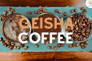 Discover Premium Geisha Coffee: Origins, Flavor & More Safem Fabrication - Precision Engineering & Custom Manufacturing Solutions Discover Premium Geisha Coffee: Origins, Flavor & More | Safem Fabrication - Precision Engineering & Custom Manufacturing Solutions