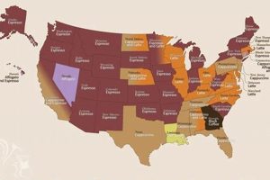 Exploring States Coffee: Regional Roasts & Brews Safem Fabrication - Precision Engineering & Custom Manufacturing Solutions Exploring States Coffee: Regional Roasts & Brews | Safem Fabrication - Precision Engineering & Custom Manufacturing Solutions
