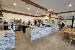 Little Ox Coffee: Beans, Brews & Beyond Safem Fabrication - Precision Engineering & Custom Manufacturing Solutions Little Ox Coffee: Beans, Brews & Beyond | Safem Fabrication - Precision Engineering & Custom Manufacturing Solutions