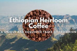 Rare Heirloom Coffee: A Flavorful History Guide Safem Fabrication - Precision Engineering & Custom Manufacturing Solutions Rare Heirloom Coffee: A Flavorful History Guide | Safem Fabrication - Precision Engineering & Custom Manufacturing Solutions