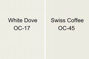 Swiss Coffee vs. White Dove: Which White is Right? Safem Fabrication - Precision Engineering & Custom Manufacturing Solutions Swiss Coffee vs. White Dove: Which White is Right? | Safem Fabrication - Precision Engineering & Custom Manufacturing Solutions