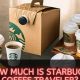 Cost of Starbucks Coffee Traveler: Price + More Info | The Ultimate Coffee Guide: Types, Brewing Methods & Best Beans