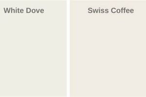 Benjamin Moore White Dove Vs Swiss Coffee Safem Fabrication - Precision Engineering & Custom Manufacturing Solutions Benjamin Moore White Dove Vs Swiss Coffee | Safem Fabrication - Precision Engineering & Custom Manufacturing Solutions