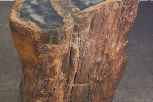 Unique Fossilized Wood Coffee Table: Ancient Beauty! The Ultimate Coffee Guide: Types, Brewing Methods & Best Beans Unique Fossilized Wood Coffee Table: Ancient Beauty! | The Ultimate Coffee Guide: Types, Brewing Methods & Best Beans