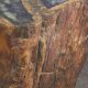 Unique Fossilized Wood Coffee Table: Ancient Beauty! | The Ultimate Coffee Guide: Types, Brewing Methods & Best Beans