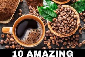 Fasting? Coffee with Stevia: Safe or Not? Safem Fabrication - Precision Engineering & Custom Manufacturing Solutions Fasting? Coffee with Stevia: Safe or Not? | Safem Fabrication - Precision Engineering & Custom Manufacturing Solutions