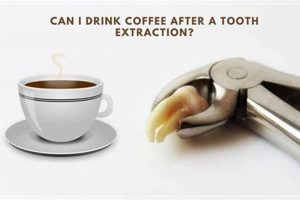Coffee After Extraction? When to Drink Coffee Safely Safem Fabrication - Precision Engineering & Custom Manufacturing Solutions Coffee After Extraction? When to Drink Coffee Safely | Safem Fabrication - Precision Engineering & Custom Manufacturing Solutions