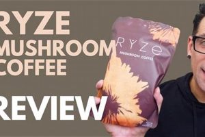 Ryze Coffee Before Bed: Can You Drink It at Night? Safem Fabrication - Precision Engineering & Custom Manufacturing Solutions Ryze Coffee Before Bed: Can You Drink It at Night? | Safem Fabrication - Precision Engineering & Custom Manufacturing Solutions