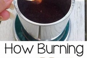 DIY: Coffee Grounds for Bug Repellent - Safe & Effective Safem Fabrication - Precision Engineering & Custom Manufacturing Solutions DIY: Coffee Grounds for Bug Repellent - Safe & Effective | Safem Fabrication - Precision Engineering & Custom Manufacturing Solutions