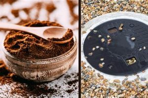 Coffee Grounds & Septic Systems: Will Coffee Kill It? Safem Fabrication - Precision Engineering & Custom Manufacturing Solutions Coffee Grounds & Septic Systems: Will Coffee Kill It? | Safem Fabrication - Precision Engineering & Custom Manufacturing Solutions