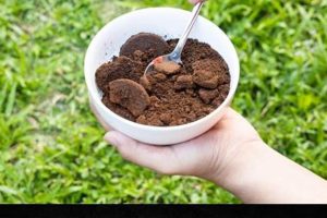 Coffee Grounds: Are Coffee Grounds Good for Lawns? Tips Safem Fabrication - Precision Engineering & Custom Manufacturing Solutions Coffee Grounds: Are Coffee Grounds Good for Lawns? Tips | Safem Fabrication - Precision Engineering & Custom Manufacturing Solutions