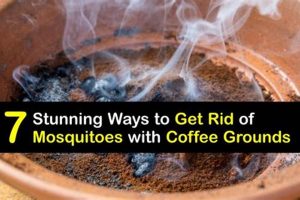 Does Burning Coffee Grounds Keep Mosquitoes Away? + Tips! Safem Fabrication - Precision Engineering & Custom Manufacturing Solutions Does Burning Coffee Grounds Keep Mosquitoes Away? + Tips! | Safem Fabrication - Precision Engineering & Custom Manufacturing Solutions