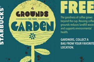 Get Free Starbucks Coffee Grounds: Uses & Benefits Safem Fabrication - Precision Engineering & Custom Manufacturing Solutions Get Free Starbucks Coffee Grounds: Uses & Benefits | Safem Fabrication - Precision Engineering & Custom Manufacturing Solutions