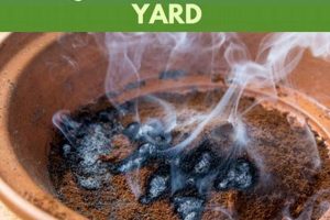 DIY Bug Spray: How to Use Coffee Grounds as Insect Repellent! Safem Fabrication - Precision Engineering & Custom Manufacturing Solutions DIY Bug Spray: How to Use Coffee Grounds as Insect Repellent! | Safem Fabrication - Precision Engineering & Custom Manufacturing Solutions