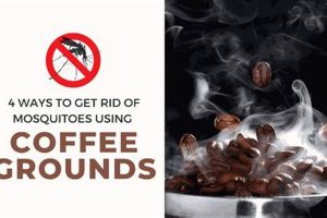 DIY: Does Burning Coffee Grounds Repel Mosquitoes? Safem Fabrication - Precision Engineering & Custom Manufacturing Solutions DIY: Does Burning Coffee Grounds Repel Mosquitoes? | Safem Fabrication - Precision Engineering & Custom Manufacturing Solutions